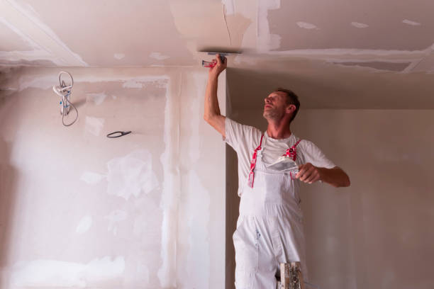 Best Fire-Damaged Drywall Repair  in Bloomingdale, IL